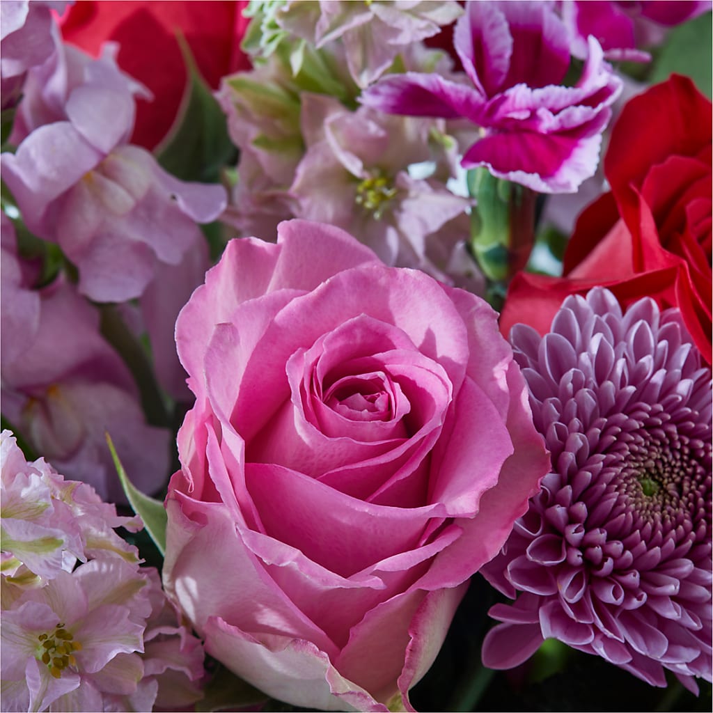 Better Together - A Luxury Florist Original –  Batavia Stage Coach Florist, Batavia NY