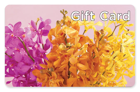 Gift Card –  Batavia Stage Coach Florist, Batavia NY