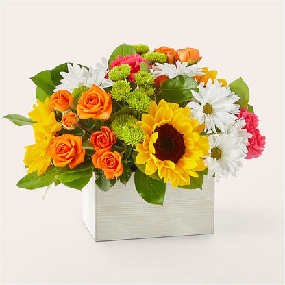 Sun-drenched Blooms Box Bouquet –  Batavia Stage Coach Florist, Batavia NY