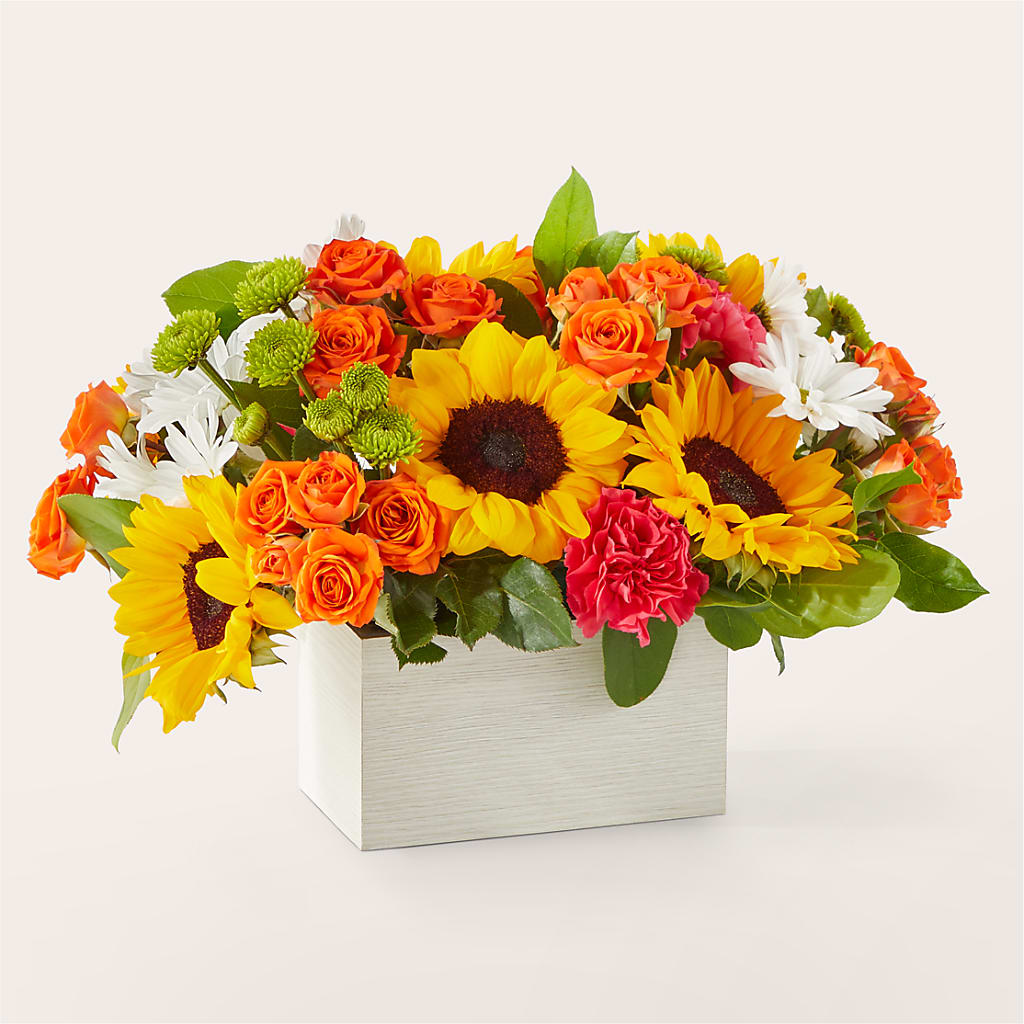 Sun-drenched Blooms Box Bouquet –  Batavia Stage Coach Florist, Batavia NY