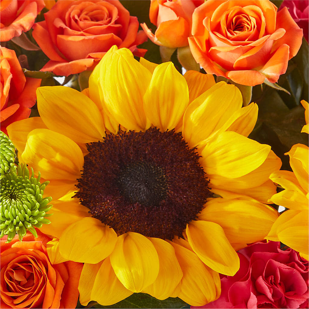 Sun-drenched Blooms Box Bouquet –  Batavia Stage Coach Florist, Batavia NY