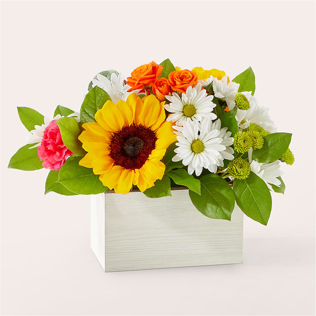 Sun-drenched Blooms Box Bouquet –  Batavia Stage Coach Florist, Batavia NY