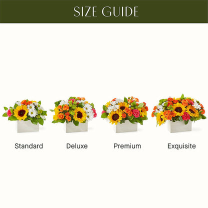 Sun-drenched Blooms Box Bouquet –  Batavia Stage Coach Florist, Batavia NY