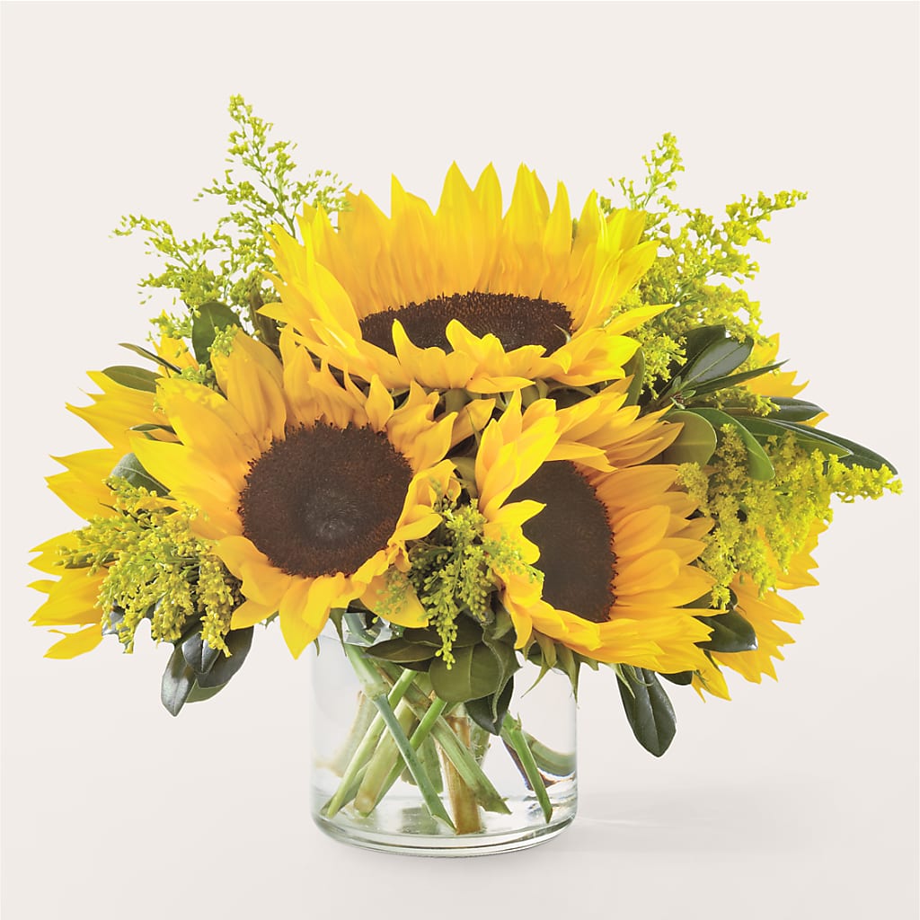 Beaming Sunflower Bouquet –  Batavia Stage Coach Florist, Batavia NY