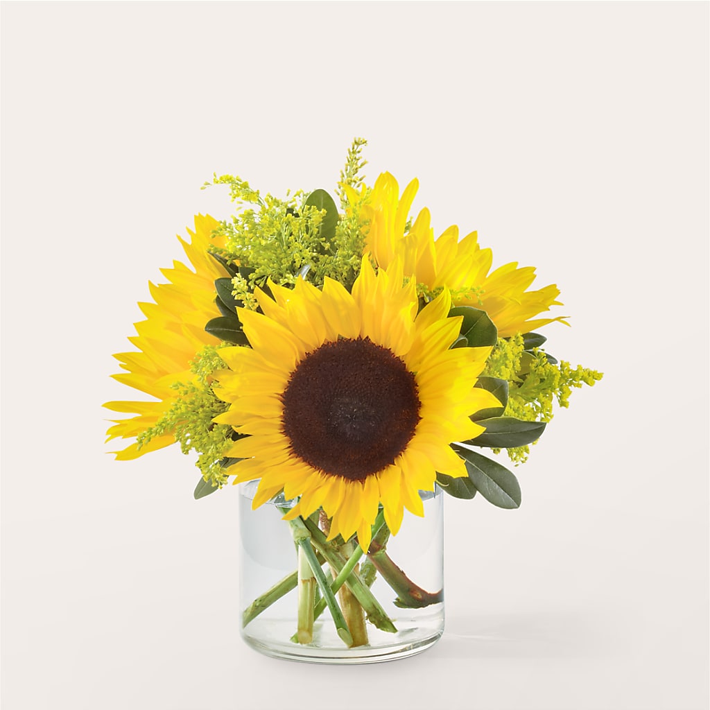 Beaming Sunflower Bouquet –  Batavia Stage Coach Florist, Batavia NY