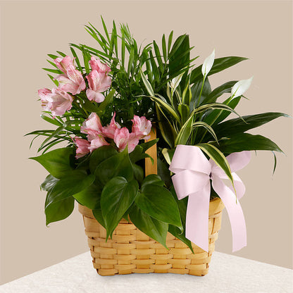 Living Spirit Dishgarden –  Batavia Stage Coach Florist, Batavia NY
