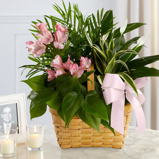 Living Spirit Dishgarden –  Batavia Stage Coach Florist, Batavia NY