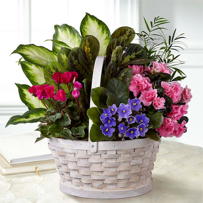 Peaceful Garden Planter –  Batavia Stage Coach Florist, Batavia NY