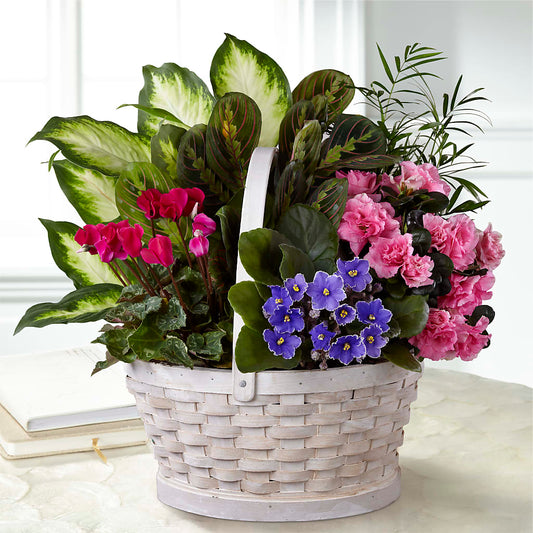 Peaceful Garden Planter –  Batavia Stage Coach Florist, Batavia NY
