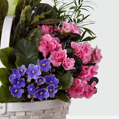 Peaceful Garden Planter –  Batavia Stage Coach Florist, Batavia NY