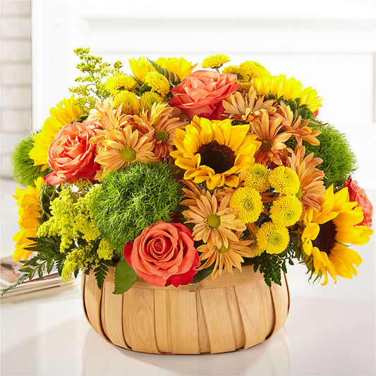 Harvest Sunflower Basket –  Batavia Stage Coach Florist, Batavia NY