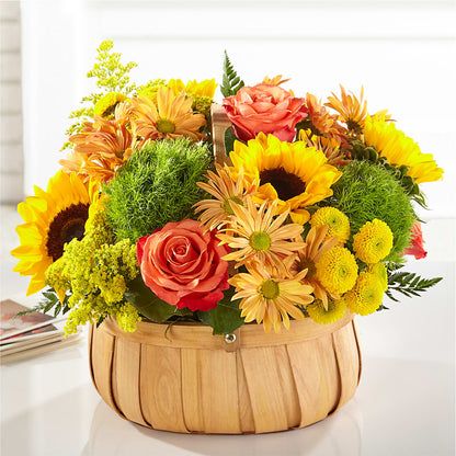 Harvest Sunflower Basket –  Batavia Stage Coach Florist, Batavia NY