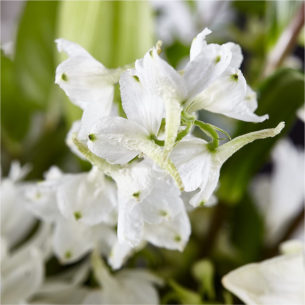 Classic Ivory – A Florist Original –  Batavia Stage Coach Florist, Batavia NY