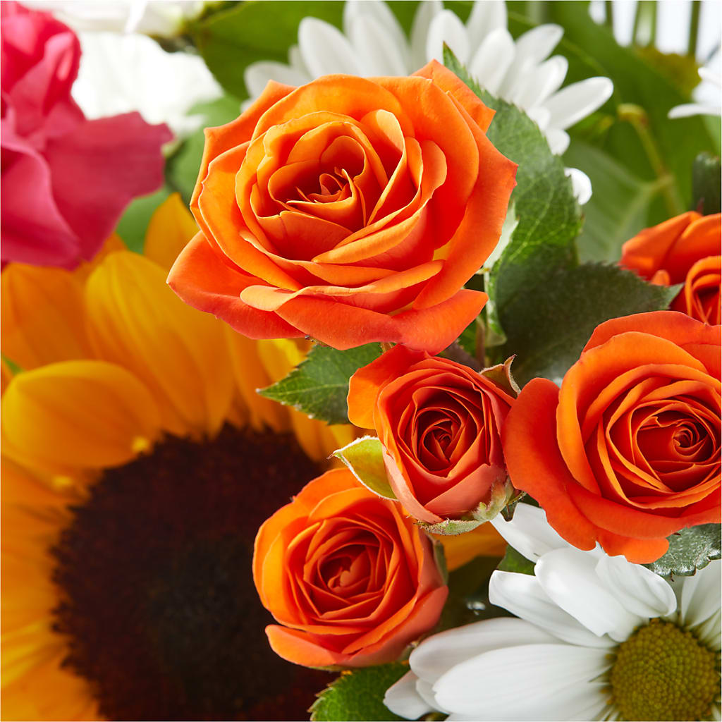 Sun-drenched Blooms Bouquet –  Batavia Stage Coach Florist, Batavia NY