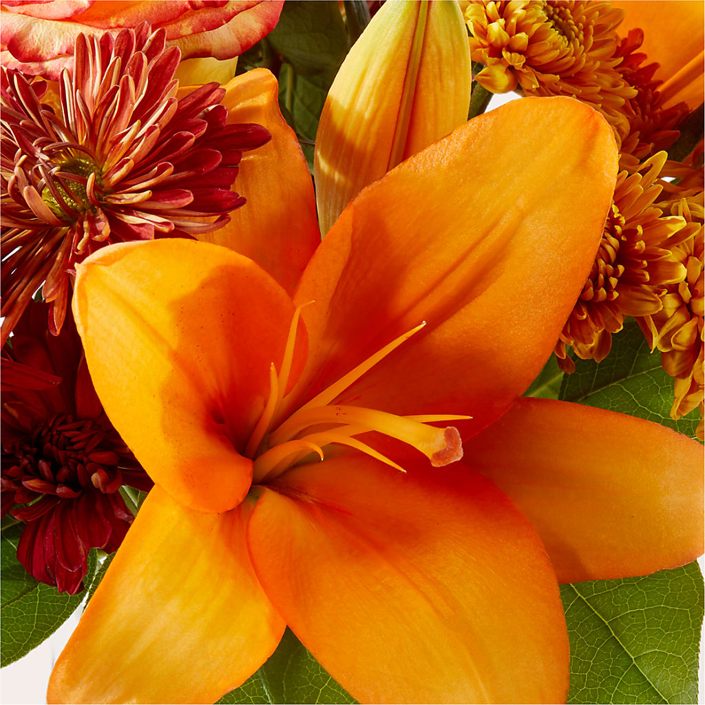 Autumnal Aroma Bouquet –  Batavia Stage Coach Florist, Batavia NY