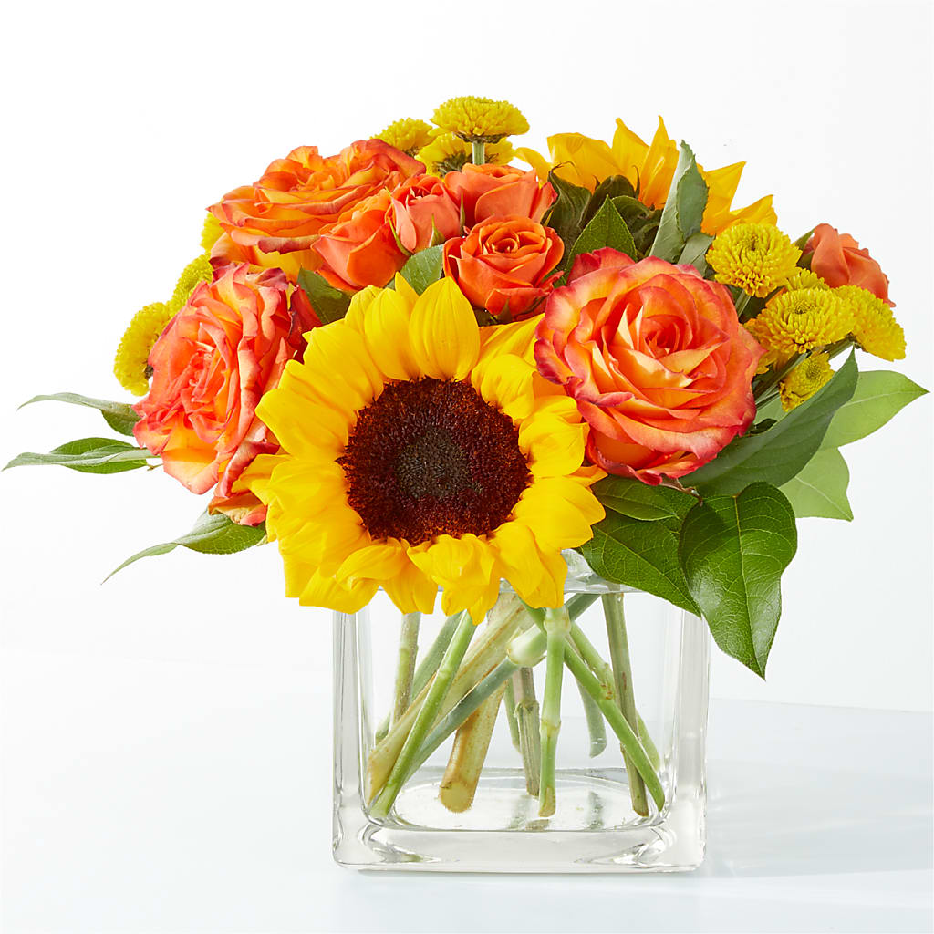 Picnic in the Park Bouquet –  Batavia Stage Coach Florist, Batavia NY