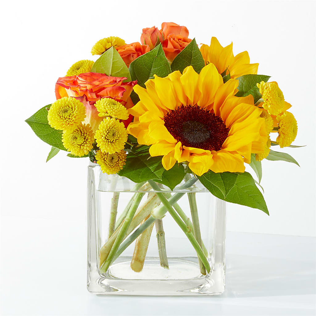 Picnic in the Park Bouquet –  Batavia Stage Coach Florist, Batavia NY