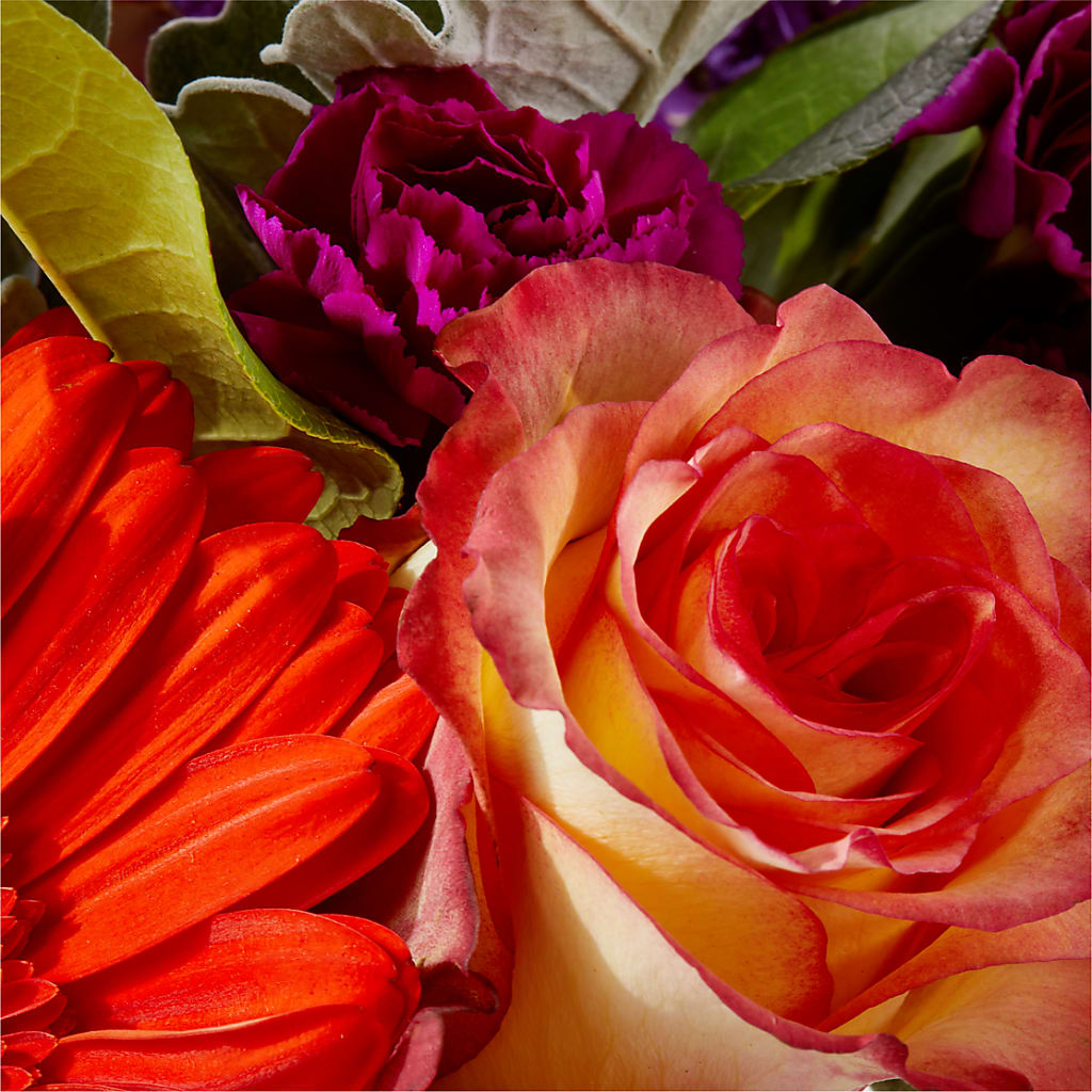 Sangria Bouquet –  Batavia Stage Coach Florist, Batavia NY
