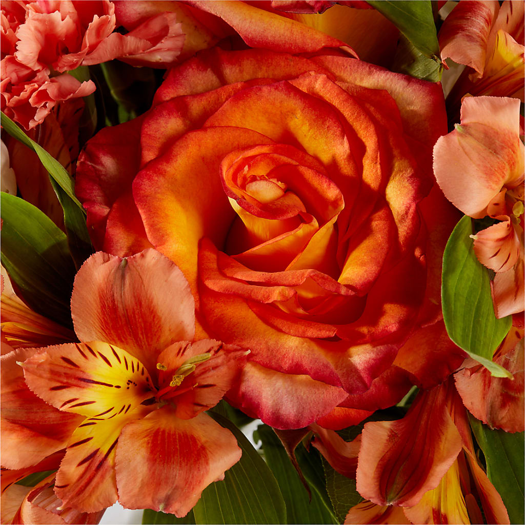 Apricot Glow Bouquet –  Batavia Stage Coach Florist, Batavia NY