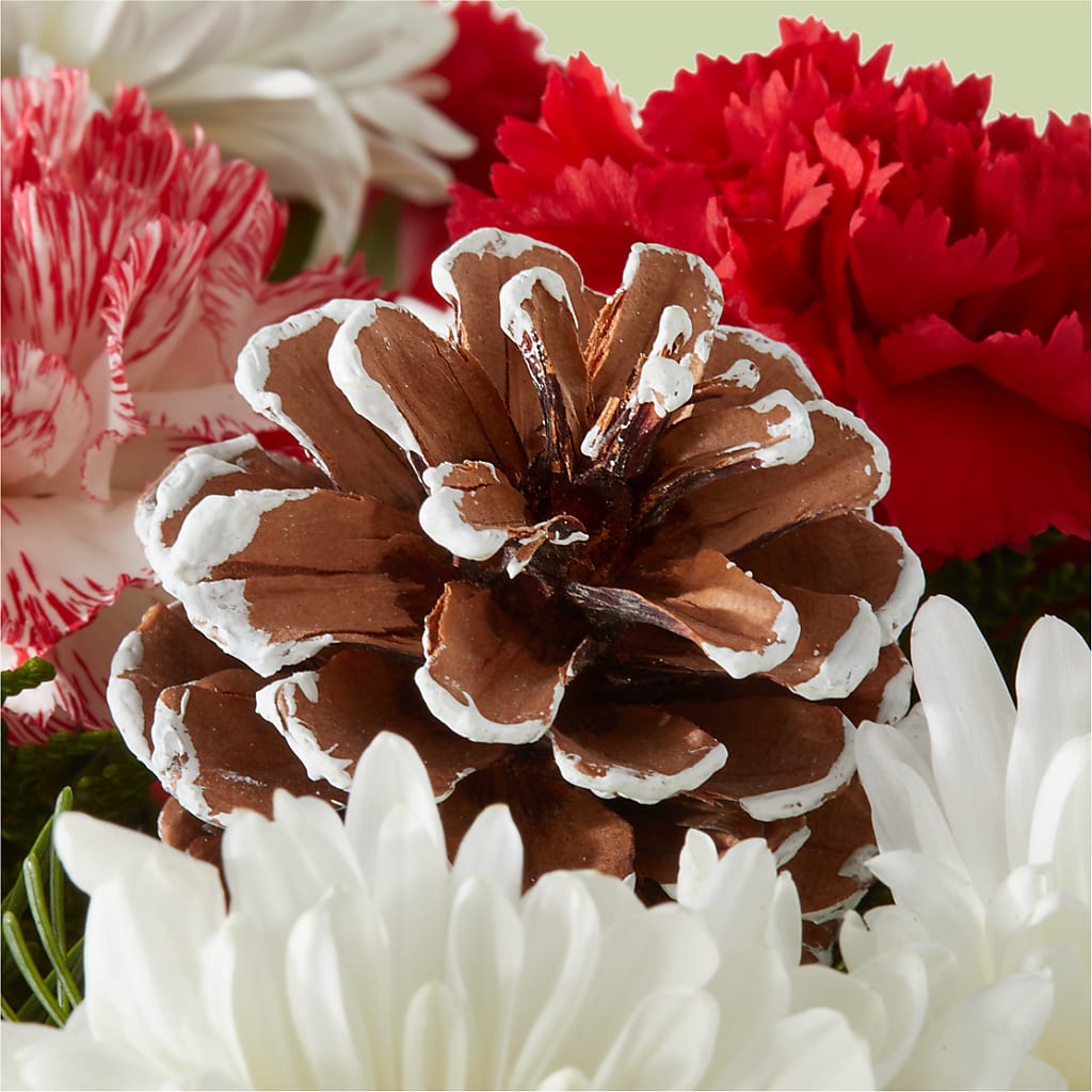 Candy Cane Lane Bouquet –  Batavia Stage Coach Florist, Batavia NY