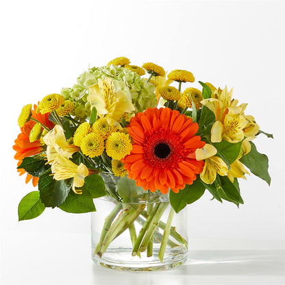 Autumn Sunshine Bouquet –  Batavia Stage Coach Florist, Batavia NY