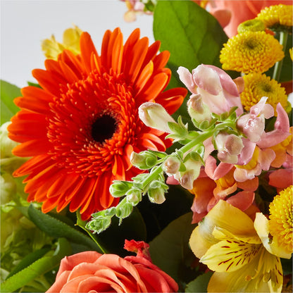 Autumn Sunshine Bouquet –  Batavia Stage Coach Florist, Batavia NY