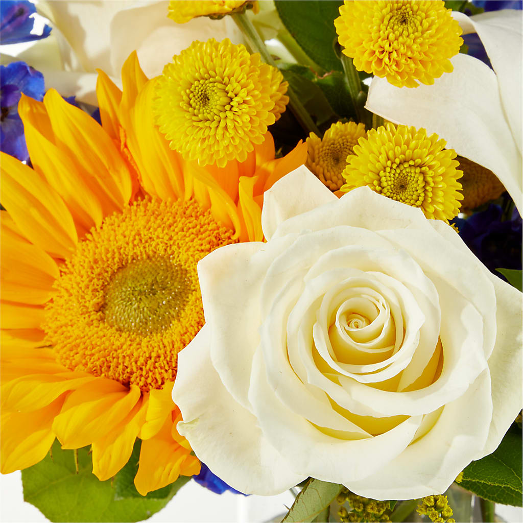 Stargazing Bouquet –  Batavia Stage Coach Florist, Batavia NY