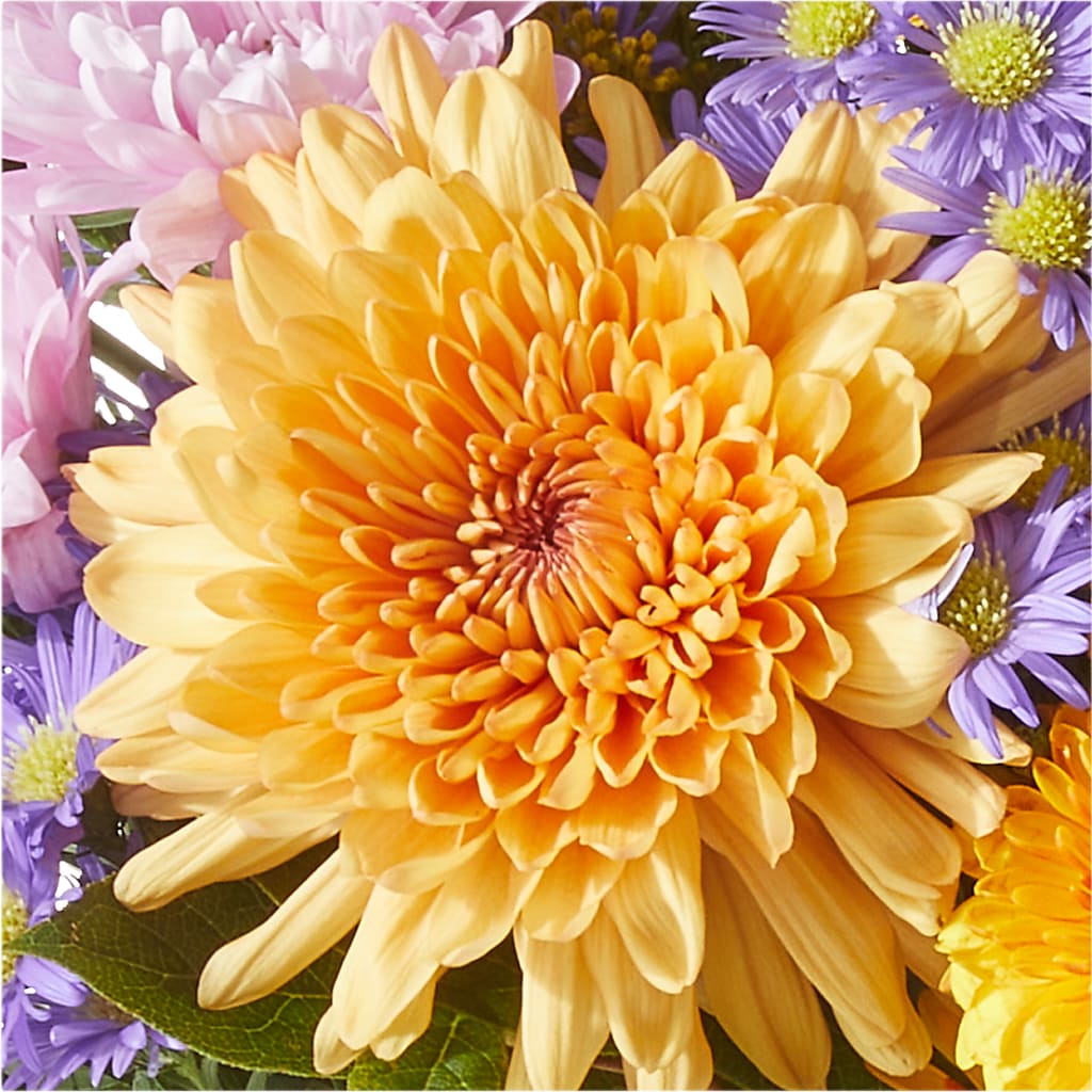 Countryside Bouquet –  Batavia Stage Coach Florist, Batavia NY