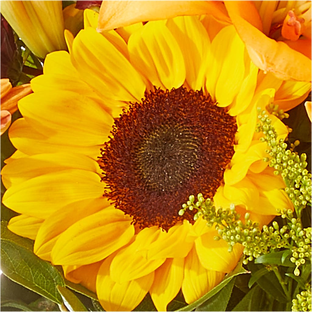 Seasons Change Bouquet –  Batavia Stage Coach Florist, Batavia NY