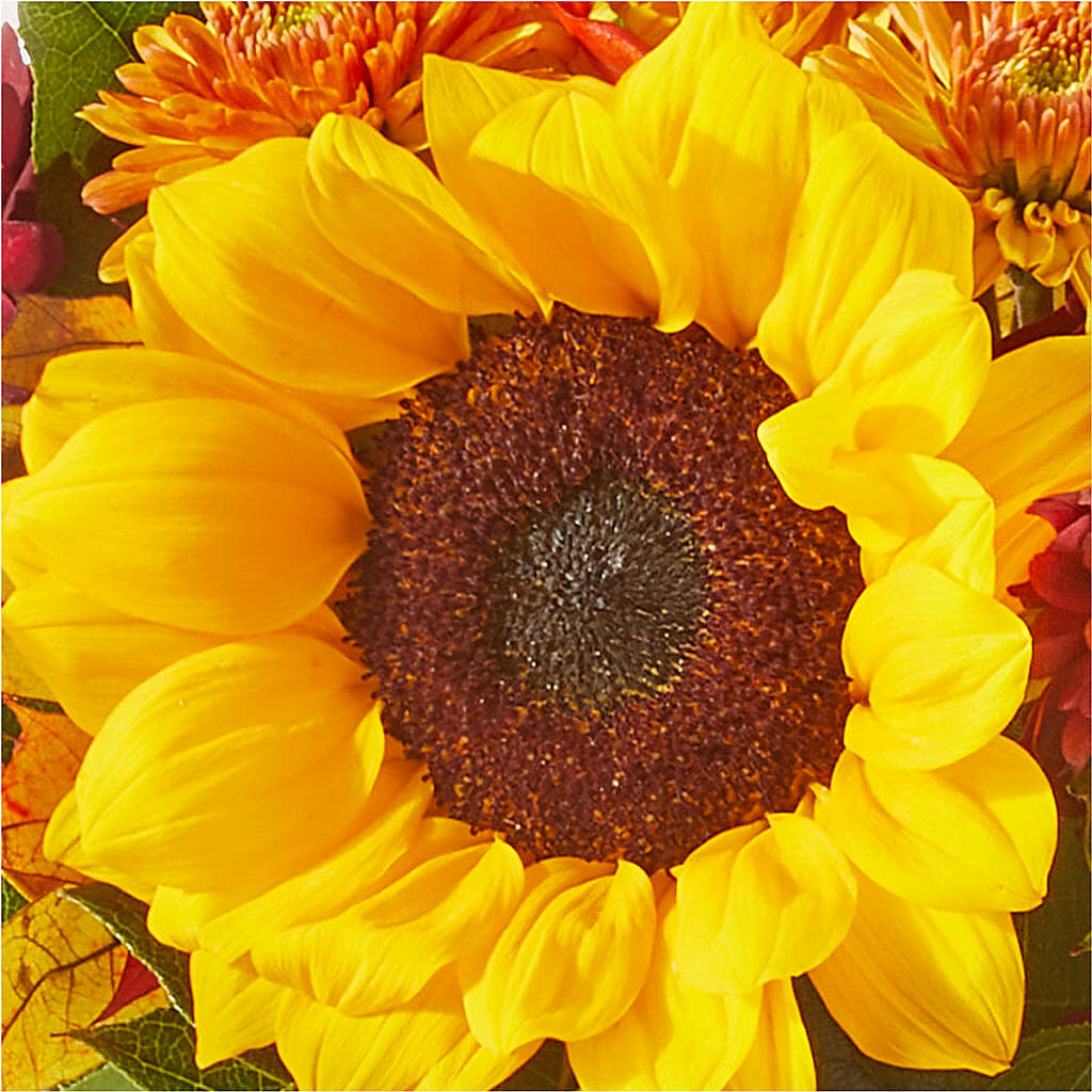 Sunny Side Bouquet –  Batavia Stage Coach Florist, Batavia NY
