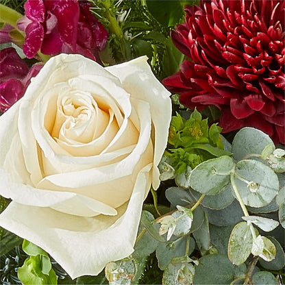 Cranberry Fizz Bouquet –  Batavia Stage Coach Florist, Batavia NY