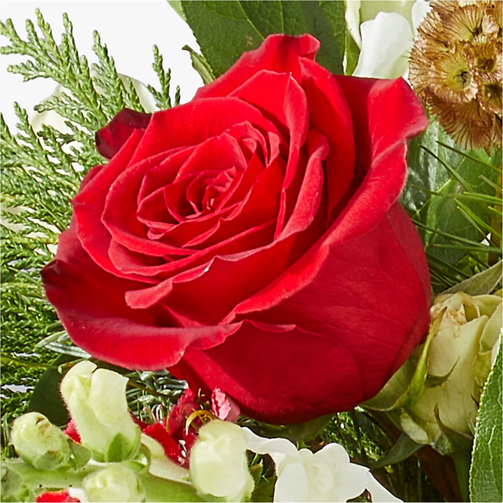 Deck the Halls Bouquet –  Batavia Stage Coach Florist, Batavia NY