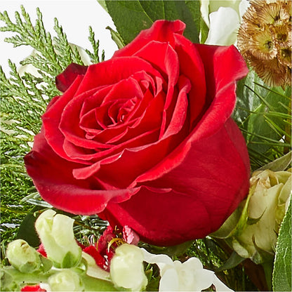 Deck the Halls Bouquet –  Batavia Stage Coach Florist, Batavia NY