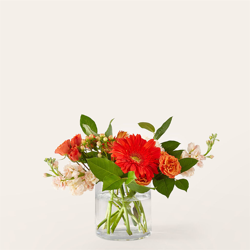 Paloma Please Bouquet –  Batavia Stage Coach Florist, Batavia NY