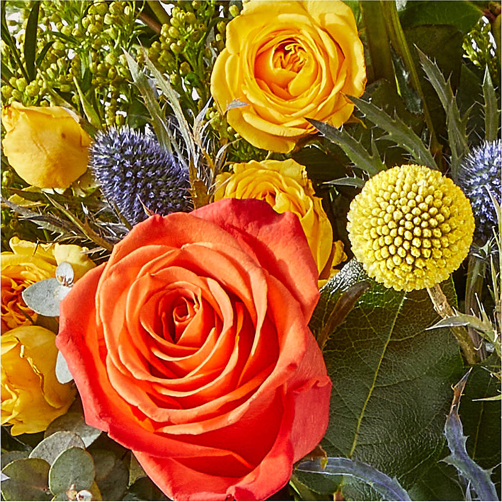 Disco Bouquet –  Batavia Stage Coach Florist, Batavia NY