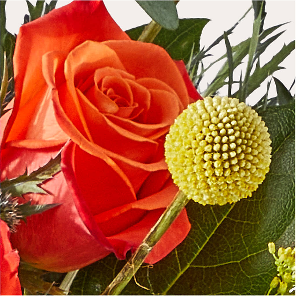 Disco Bouquet –  Batavia Stage Coach Florist, Batavia NY