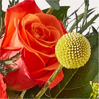 Disco Bouquet –  Batavia Stage Coach Florist, Batavia NY