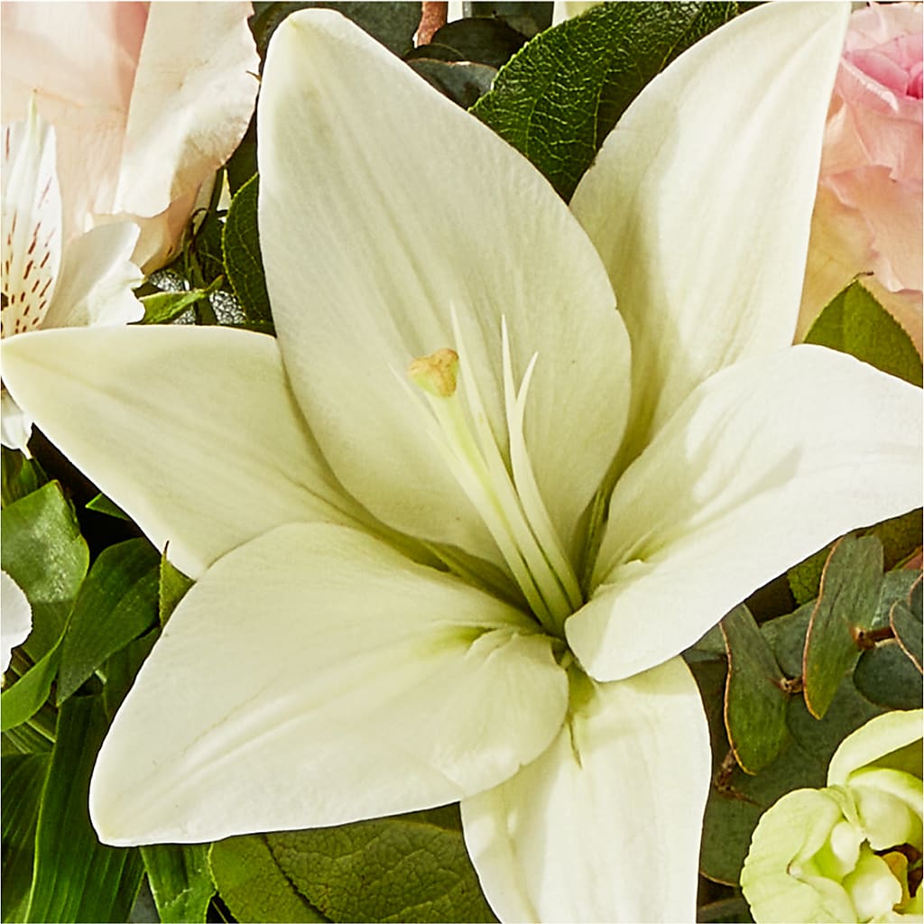 Ballet Slippers Bouquet –  Batavia Stage Coach Florist, Batavia NY