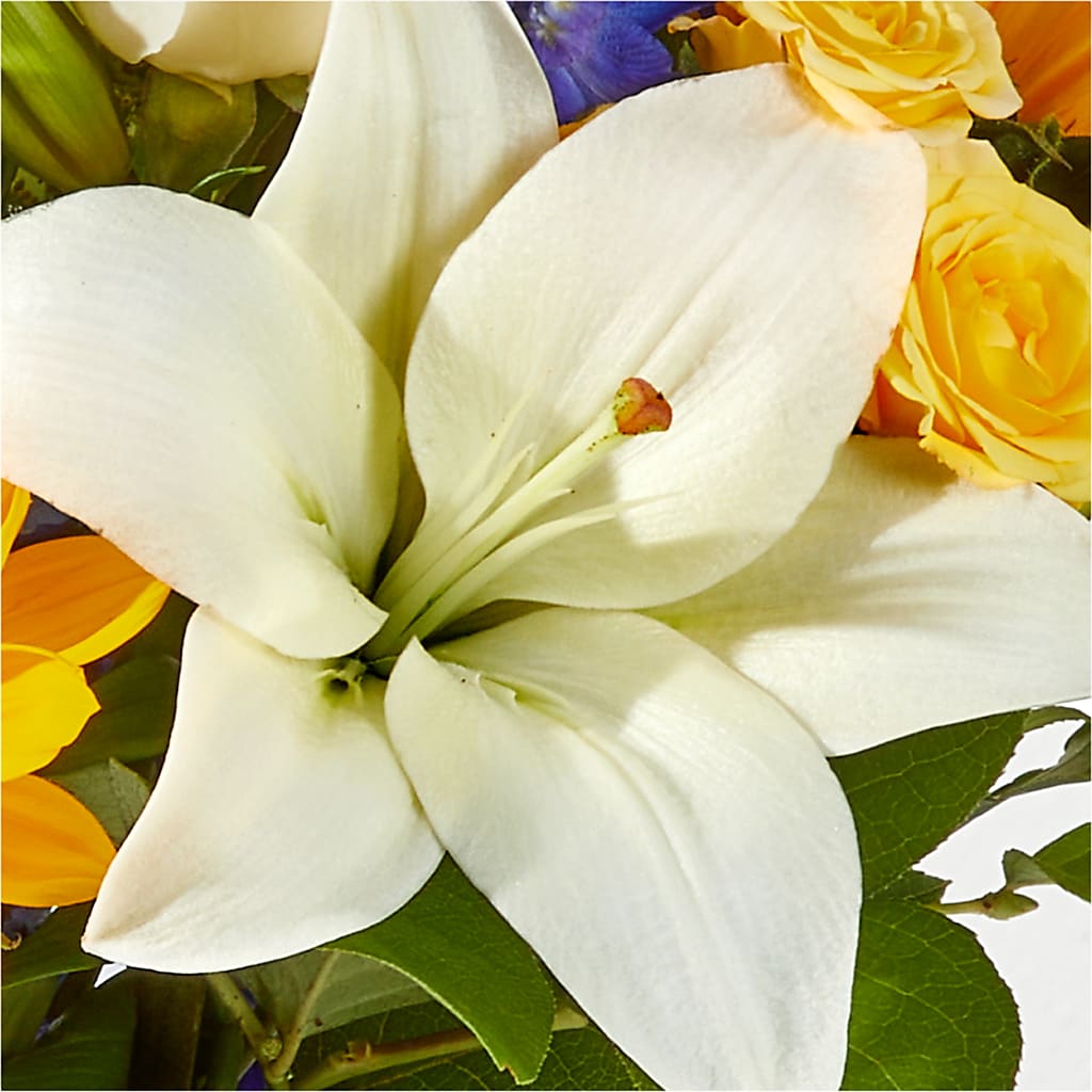 Wonderfully Sunny Bouquet –  Batavia Stage Coach Florist, Batavia NY