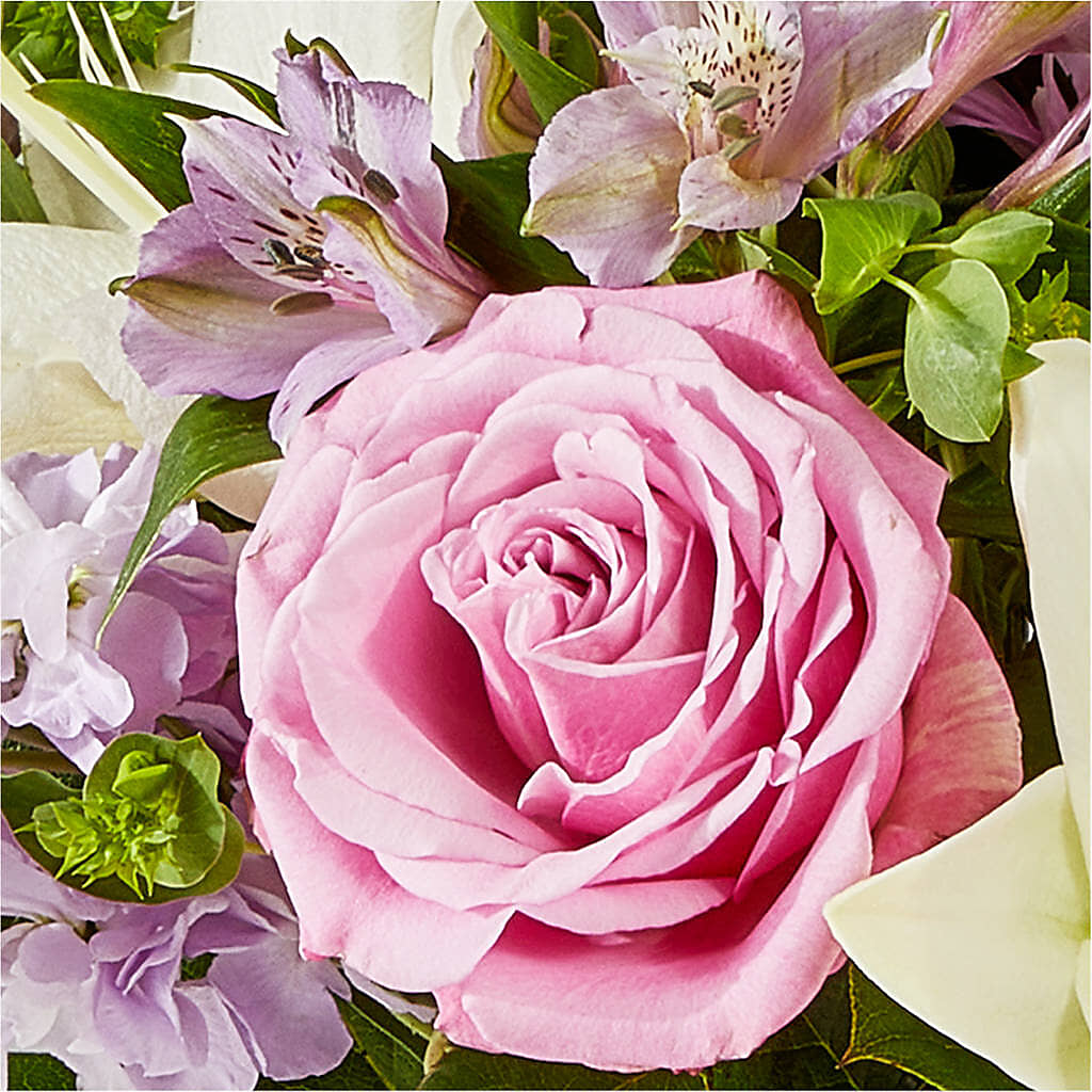 Daydreamer Bouquet –  Batavia Stage Coach Florist, Batavia NY