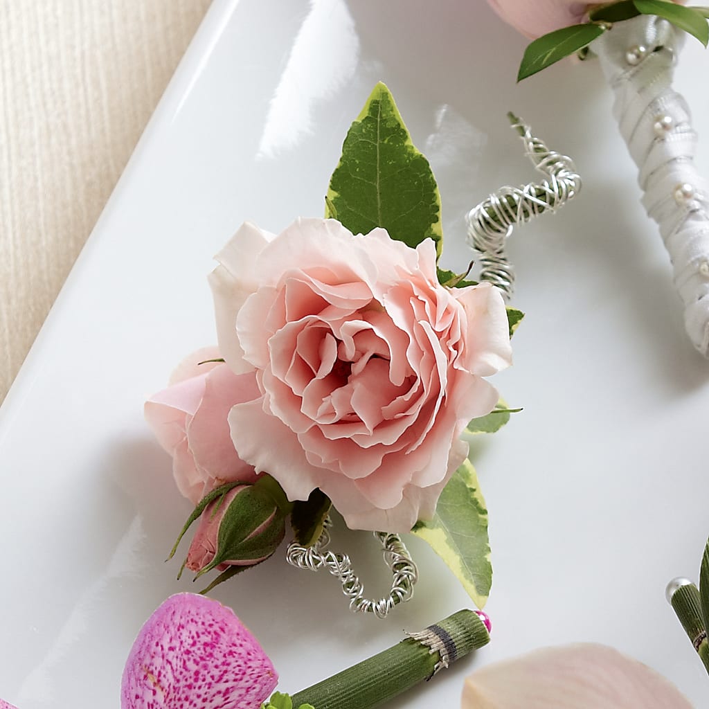 Pink Spray Rose Boutonniere –  Batavia Stage Coach Florist, Batavia NY