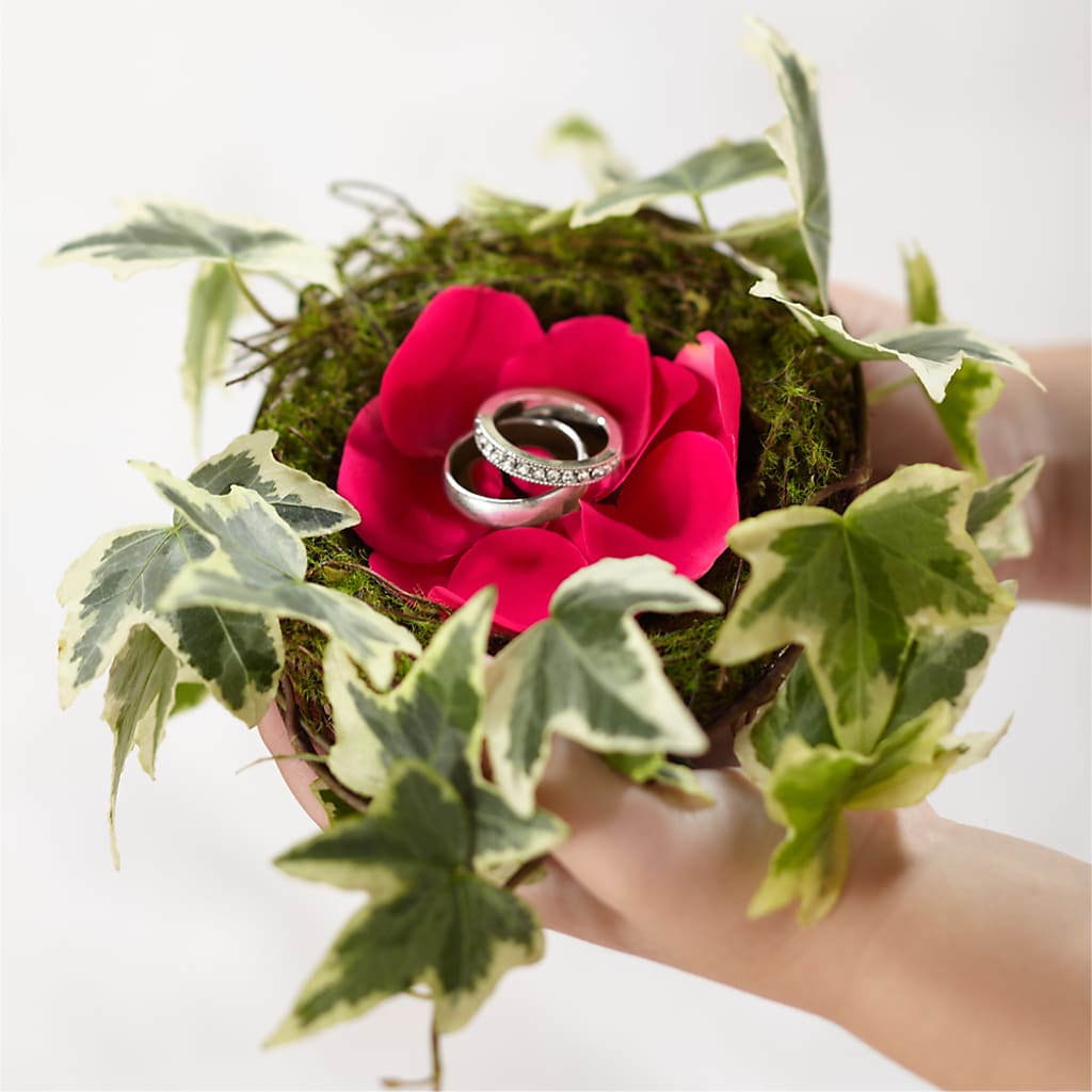 Lila Rose Ring Nest –  Batavia Stage Coach Florist, Batavia NY