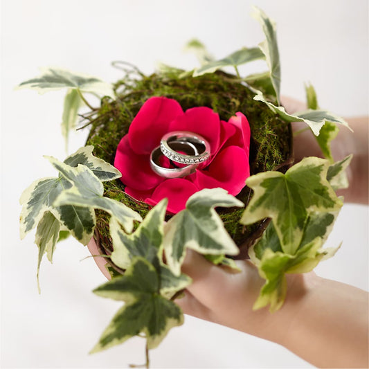 Lila Rose Ring Nest –  Batavia Stage Coach Florist, Batavia NY