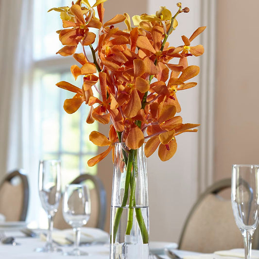 Orange Mokara Bud Vase –  Batavia Stage Coach Florist, Batavia NY