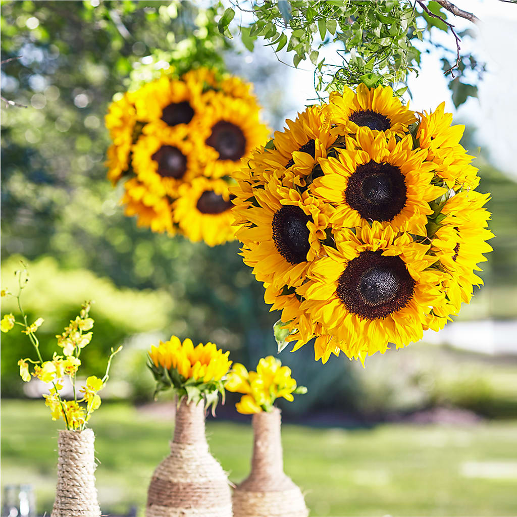 Sublime Garden Hanging Arrangement –  Batavia Stage Coach Florist, Batavia NY
