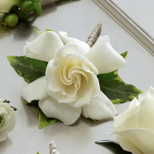 Gardenia Boutonniere –  Batavia Stage Coach Florist, Batavia NY
