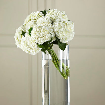 White Hydrangea Hand-Tied Bouquet –  Batavia Stage Coach Florist, Batavia NY