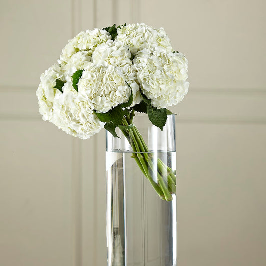 White Hydrangea Hand-Tied Bouquet –  Batavia Stage Coach Florist, Batavia NY