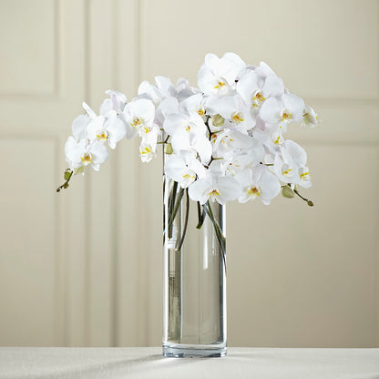 White Phalaenopsis Bouquet –  Batavia Stage Coach Florist, Batavia NY