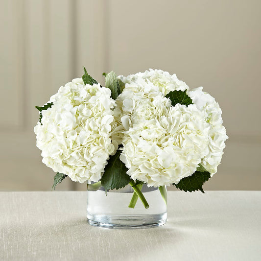 White Hydrangea Bouquet –  Batavia Stage Coach Florist, Batavia NY